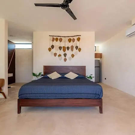 Amazing Studio With Bathtub & Rooftop Apartment *