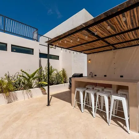 Amazing Studio With Bathtub & Rooftop Apartment *