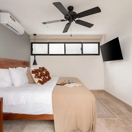 Apartment Penthouse With Private Plunge Pool Tulum