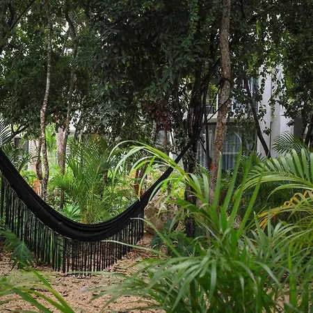 412 - Vive La Mejor Experiencia En Seremonia Selva Apartment
