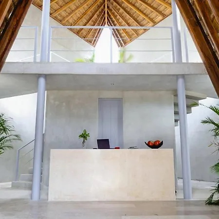 202 - Taanaj Naay Te Da La Bienvenida Tulum