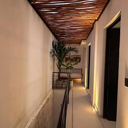 Jungle Hause