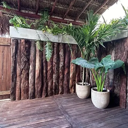 Jungle Hause Holiday home