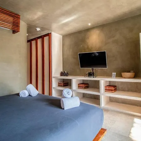 Apartment Cozy In The Jungle With Private Pool Plunge Tulum