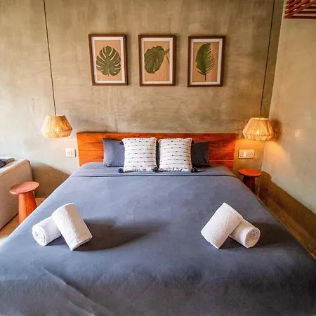 Apartment Cozy In The Jungle With Private Pool Plunge Tulum