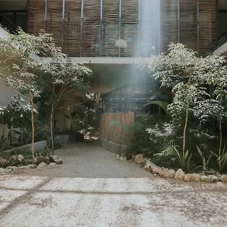 Amazing 2 Bedroom Penthouse In Aldea Zama * Tulum