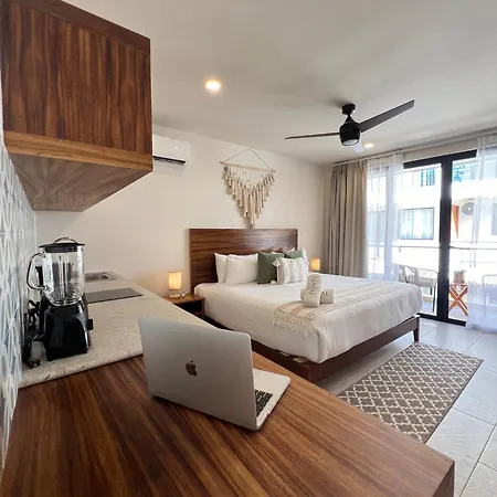 New Studio P/2, Alberca, Balcon Privado