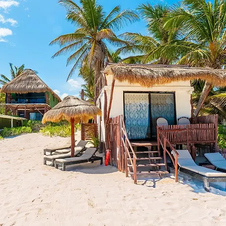 Bed & Breakfast Chancabanita 3*