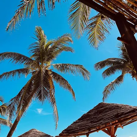 Your Studio Oasis Awaits In Tulum
