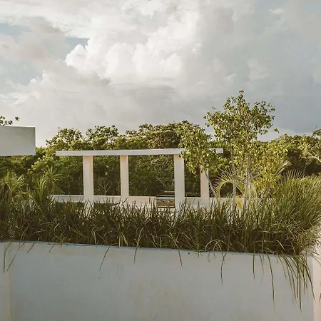 Fosca Jungle Pool Sanctuary Tulum