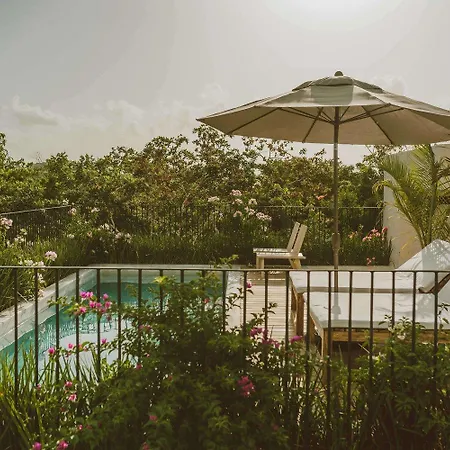 Fosca Jungle Pool Sanctuary