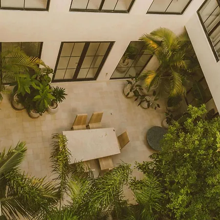 Apartment Fosca Jungle Pool Sanctuary *