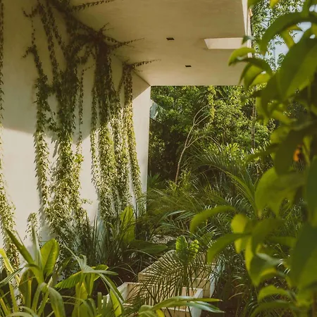 Fosca Jungle Pool Sanctuary Tulum