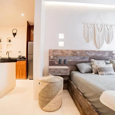 Beautiful Studio In Nature With Private Plunge Pool Tulum