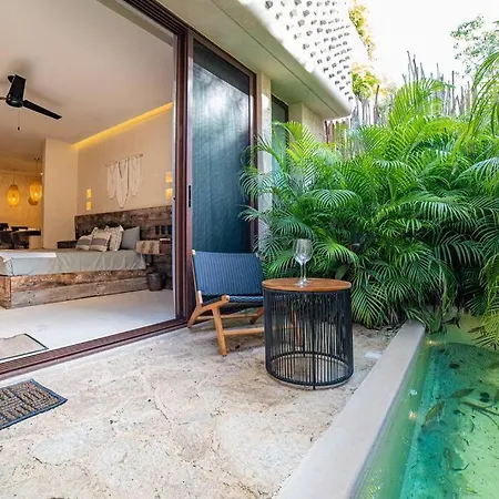 Beautiful Studio In Nature With Private Plunge Pool Apartment