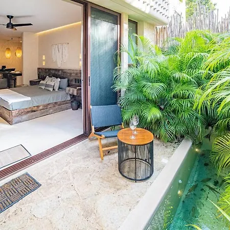 Apartment Beautiful Studio In Nature With Private Plunge Pool