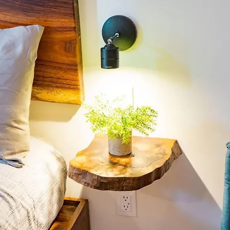 Armony Studio In Aldea Zama *