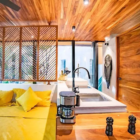 Bright Eco-friendly Studio In