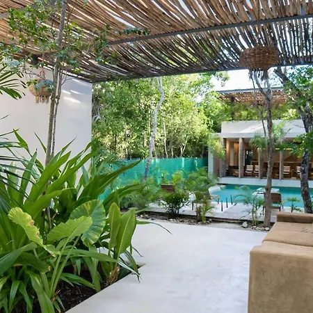 Apartment Bright Eco-friendly Studio In Tulum