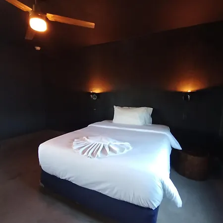 Armonico * Tulum