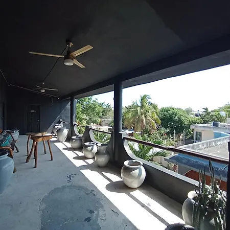 Armonico * Tulum