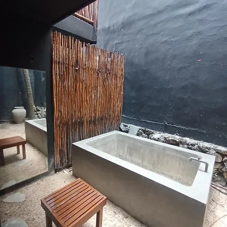 Armonico Tulum