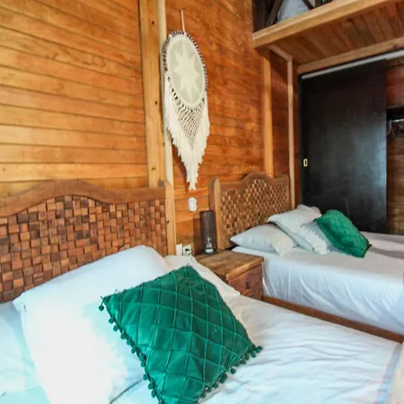 Alicat Tulum
