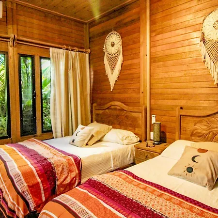 Alicat Villa Tulum