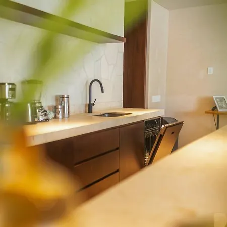 Luxury With Private Pool Apartment