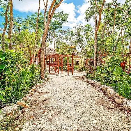 Avec Piscines Et Cenotes Naturelles *