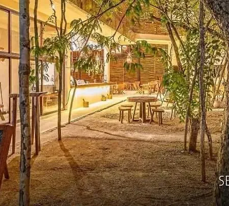 Avec Piscines Et Cenotes Naturelles