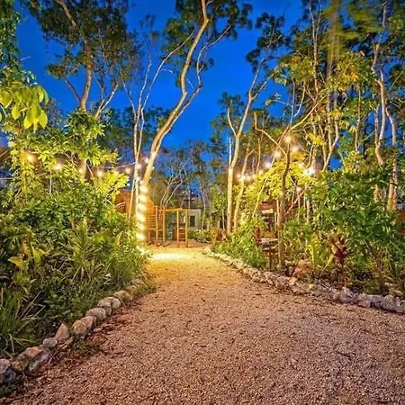 Avec Piscines Et Cenotes Naturelles Tulum