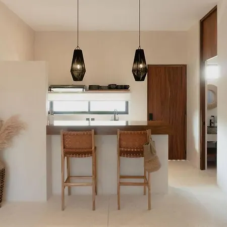 Apartment Casa Coba Sol Penthouse Pool Aldea Zama