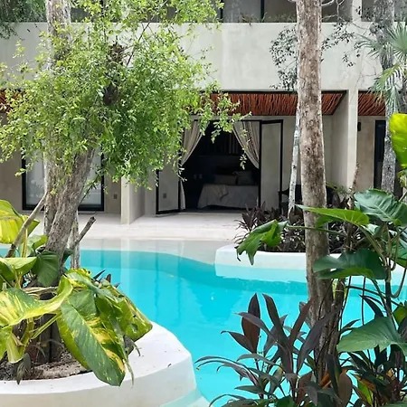 Jungle With Swim Up Pool - Free Club *