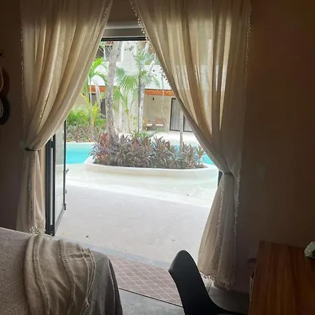 Jungle With Swim Up Pool - Free Club