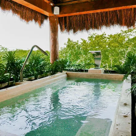 Luxury In The Exclusive Area Of Tulum
