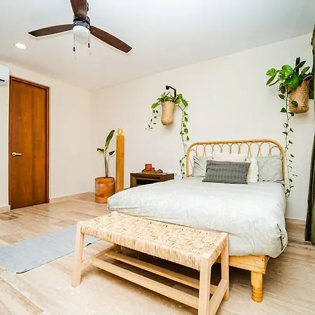 Luxury In The Exclusive Area Of Apartment Tulum