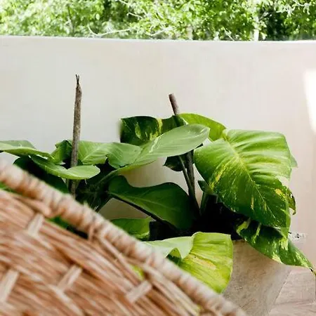 Luxury In The Exclusive Area Of Apartment *