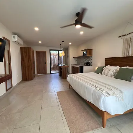 Apartment New P-2, Acceso A Alberca, Terraza Ir08