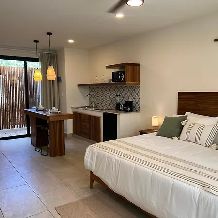 Apartment New P-2, Acceso A Alberca, Terraza Ir08 *