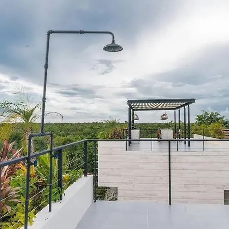 Jungle Views