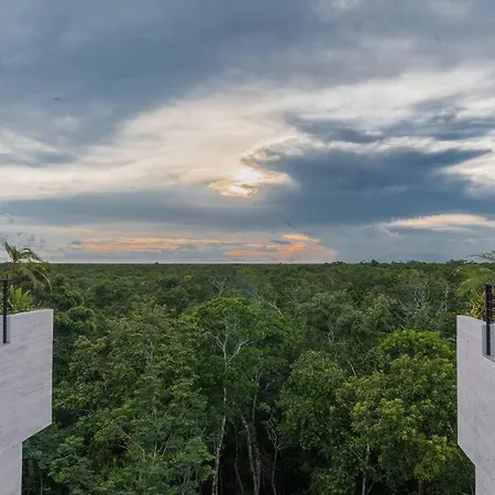 Jungle Views