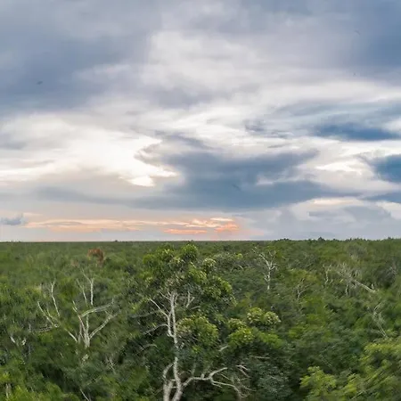 Jungle Views * Tulum