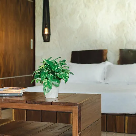 Tranquil 1-bedroom Oasis In Veleta, *