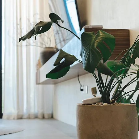 Beautiful 1 Bedroom In Tulum