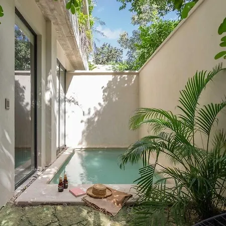 Apartment Peaceful Complex Wi-fi, Pool, Private Plunge Pool Tulum