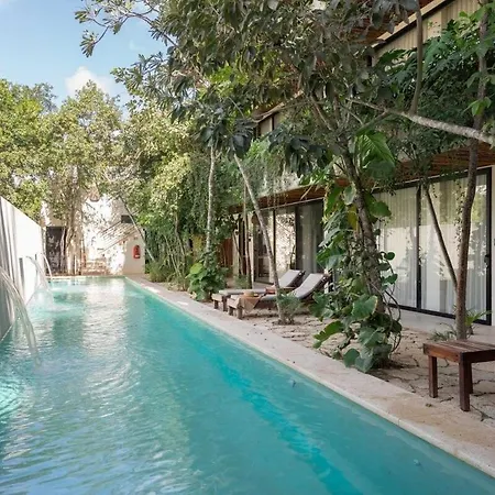 Peaceful Complex Wi-fi, Pool, Private Plunge Pool Tulum