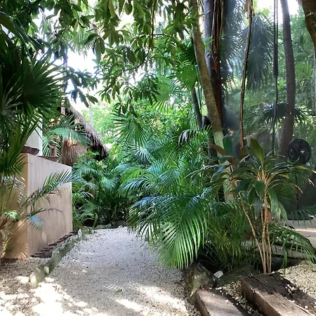 Lodge Yaxchen & Cenote Tulum
