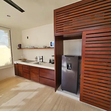 Apartment Allegro 301 Stunning 1 Bdr W Priv Rooftop Pool Tulum