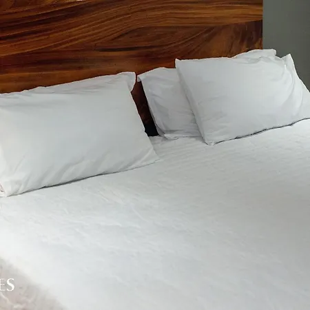 1 Rec. C/piscina Privada | Centrico | Gym Apartment Tulum